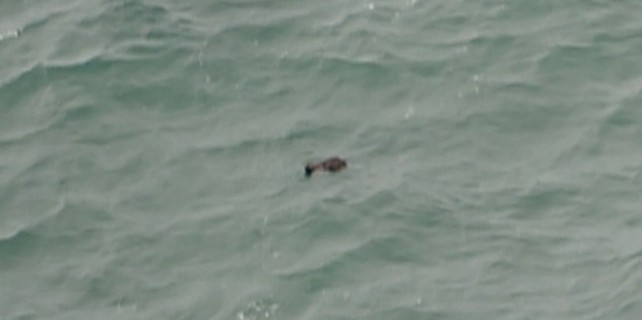 Kayıp uçak bulundu