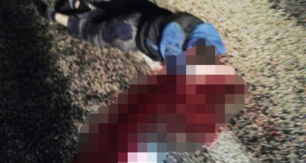 Yol kenarında böyle bulundu