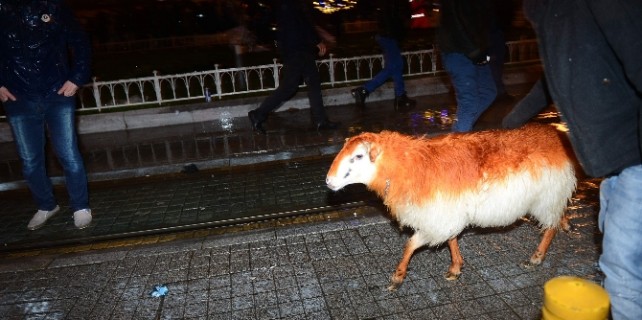 Taksim’de "koyun"lu kutlama
