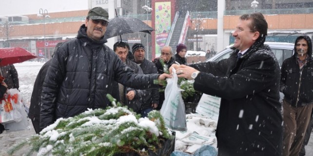 Orman işletmesi ücretsiz fidan dağıttı