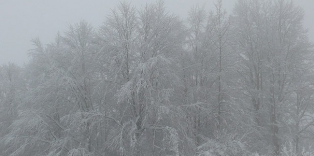 Bir ilçe 3 gündür karalınlık