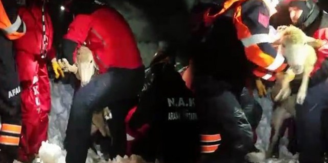 Bursa...Her şey can kurtarmak için