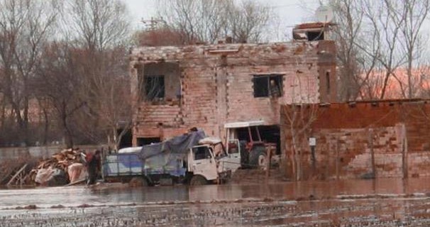 22 bin tavuk telef oldu