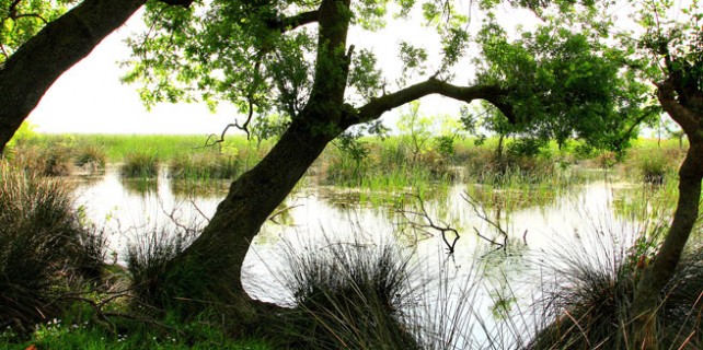 Bursa'nın saklı cenneti gün yüzüne çıkıyor