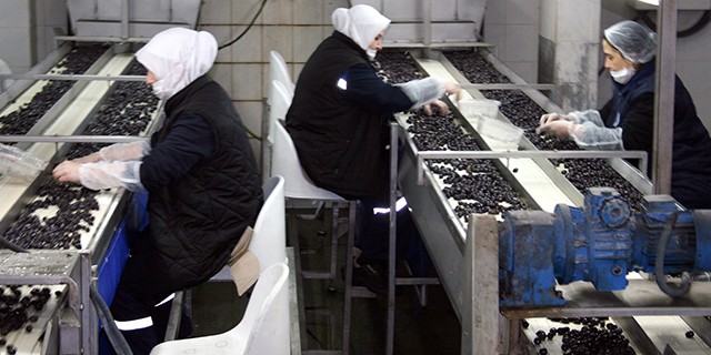 Marmarabirlik satış rekoru kırdı