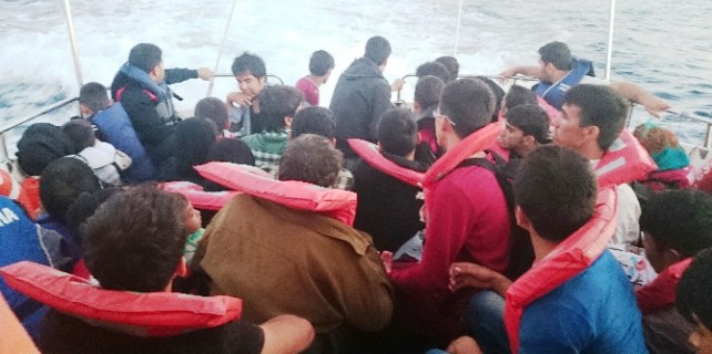 2014’ün korkunç bilançosu