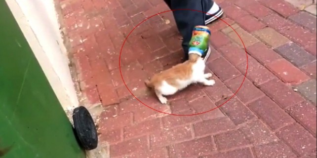 Bunu yapan insan olabilir mi?