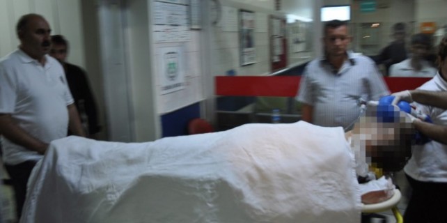 İnegöl'de bonzai ölümleri sona erdi