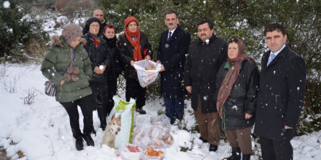 Gemlik Belediyesi hayvanları besledi