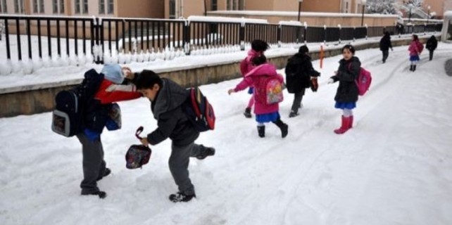 Eğitim camiasından Bursa valisine tatil tepkisi