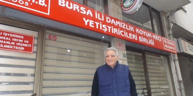 Ağıllar için kış bakımı