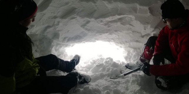 Uludağ'da tipide can pazarı