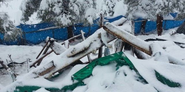 Bursa'da bir çatı çökmesi daha! 15 küçükbaş hayvan telef oldu