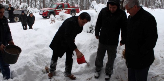 Keles'te yaban hayvanlar için doğaya yemek bıraktılar