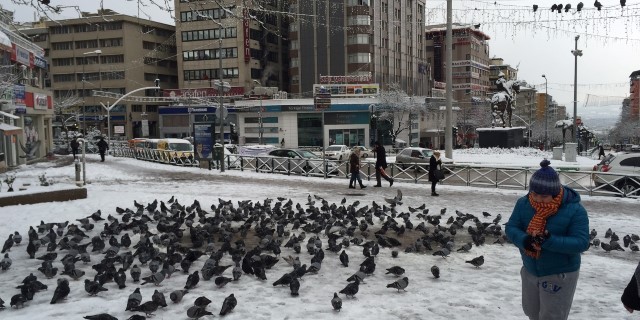 Bursa'dan kar manzaraları
