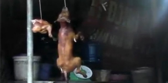 Günün en iğrenç haberi!