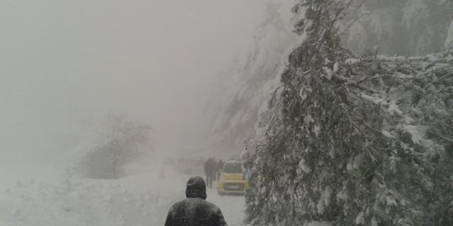 Devrilen ağaçlar Uludağ yolunu trafiğe kapattı