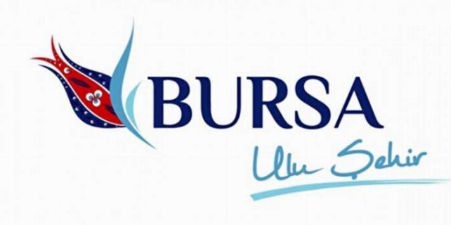 Bursa Valiliği'nin internet sitesi çöktü