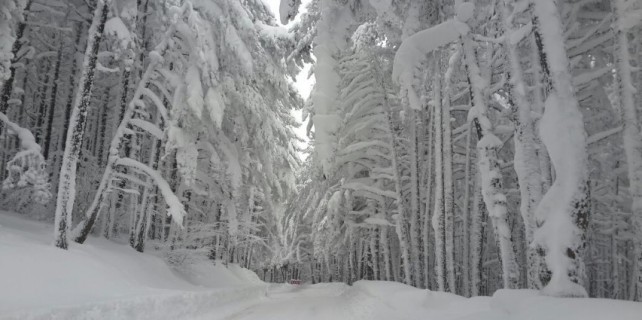 Karla kaplı büyüleyen güzellik