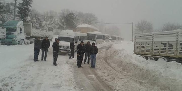 Dağ yolunda kar çilesi...