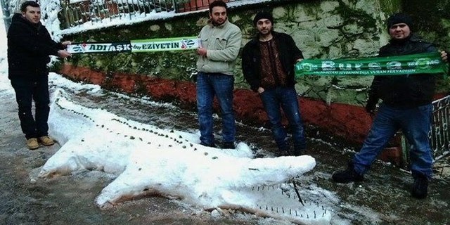 Kardan timsah yaptılar!