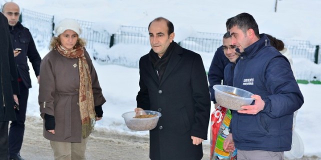 Edebali sokak hayvanlarına yem dağıttı