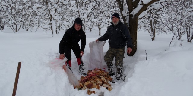 Topladığı bayat ekmeklerle hayvanları besliyor