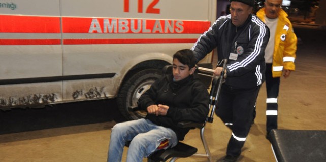 Başıboş köpekler dehşet saçtı