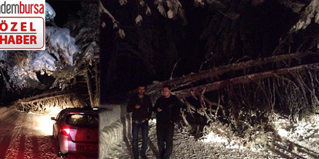Uludağ yolu trafiğe kapandı… ÖZEL HABER