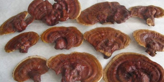 İnanamayacaksınız! Kilosu 1 milyon lira