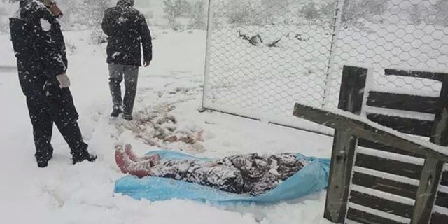 Kayıp adam 5 gün sonra bu halde bulundu!