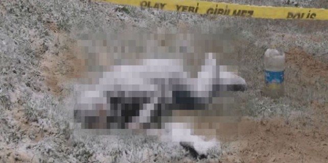 Bu halde bulundu! Görenler şok oldu...