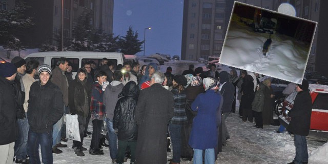 Başıboş köpekler vatandaşın korkulu rüyası oldu