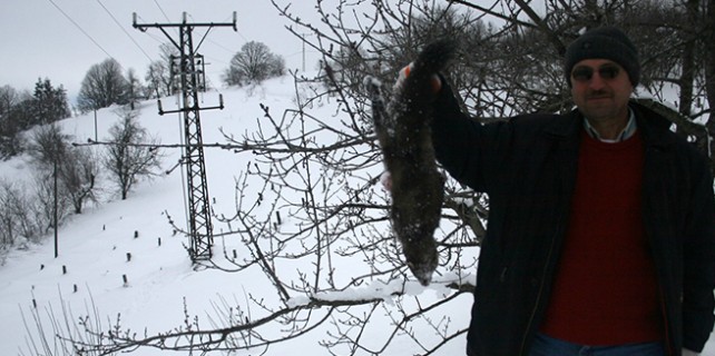 Sansarın yaptığına bak...