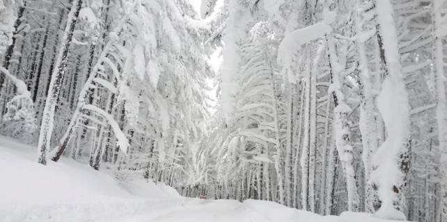 Uludağ'a çıkacaklar dikkat...
