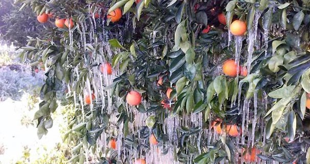 Bir gecede bu hale geldi!