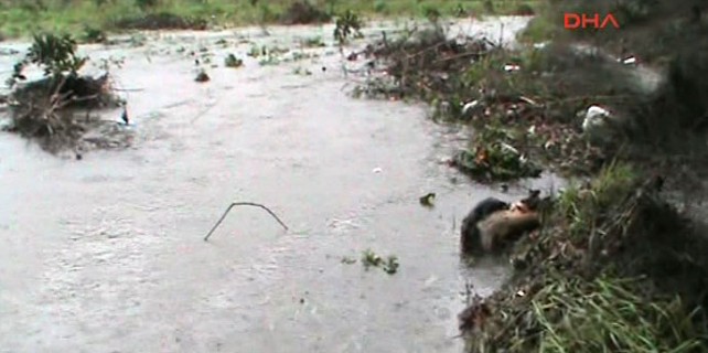 Taşan dere bir can aldı