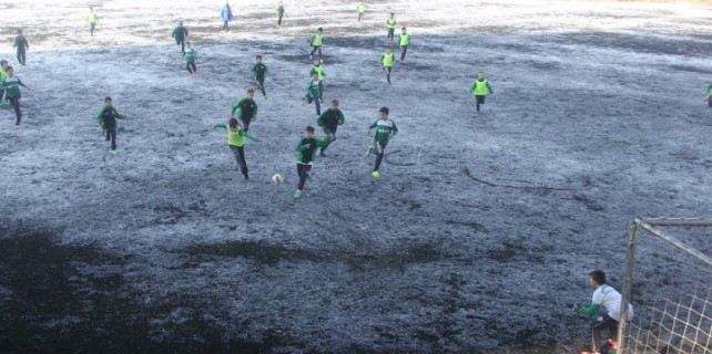 Minik Timsahlar karda çalıştı