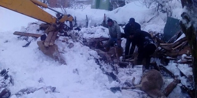 Bursa'da bir çökme daha! 10 koyun telef oldu