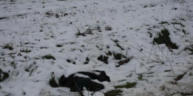 Sokakta yaşayan adam bu halde bulundu!