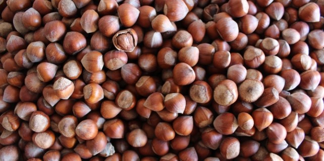 Fındık rekor kırdı