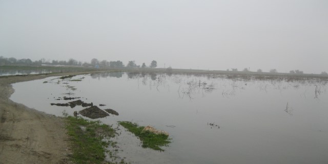 Uluabat Gölü çevresi sular altında kaldı!