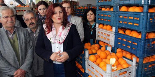 Tek seferde 52 ton portakal aldı