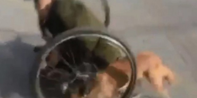 Dünya bu görüntüyü alkışlıyor