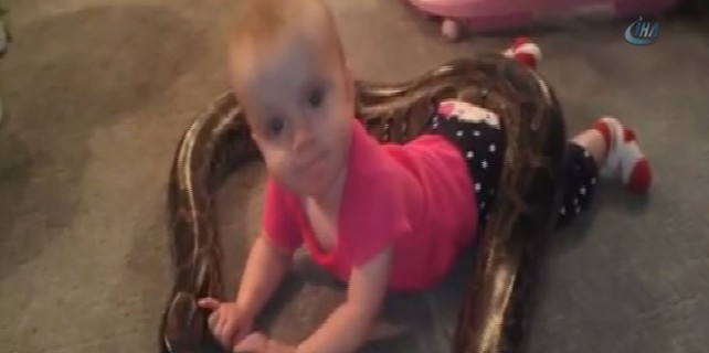 Bu bebek pitonla oynuyor !