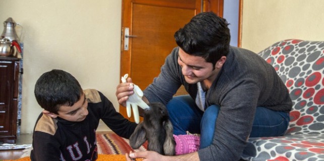 Böyle kuzu sevgisi görülmedi!