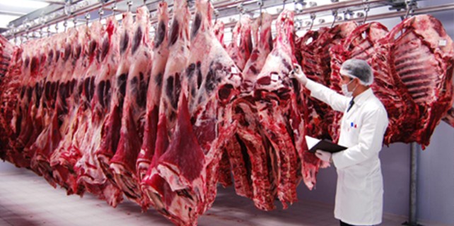 Bursa'ya giren etler bu tesisten geçecek