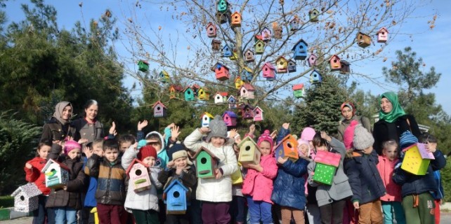 Kuşlar için rengarenk kuş evleri