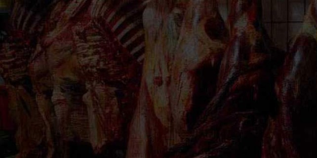 Sosyeteye at eti satan hırsız tutuklandı..!