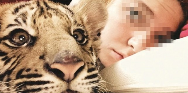 Zengin çocukların yeni eğlencesi! Vahşi moda...